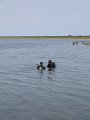 Zeeland 2005